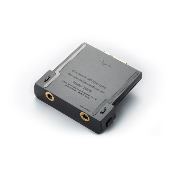 Cayin R202オーディオマザーボード for N6iii・フルバランス24bit R-2R