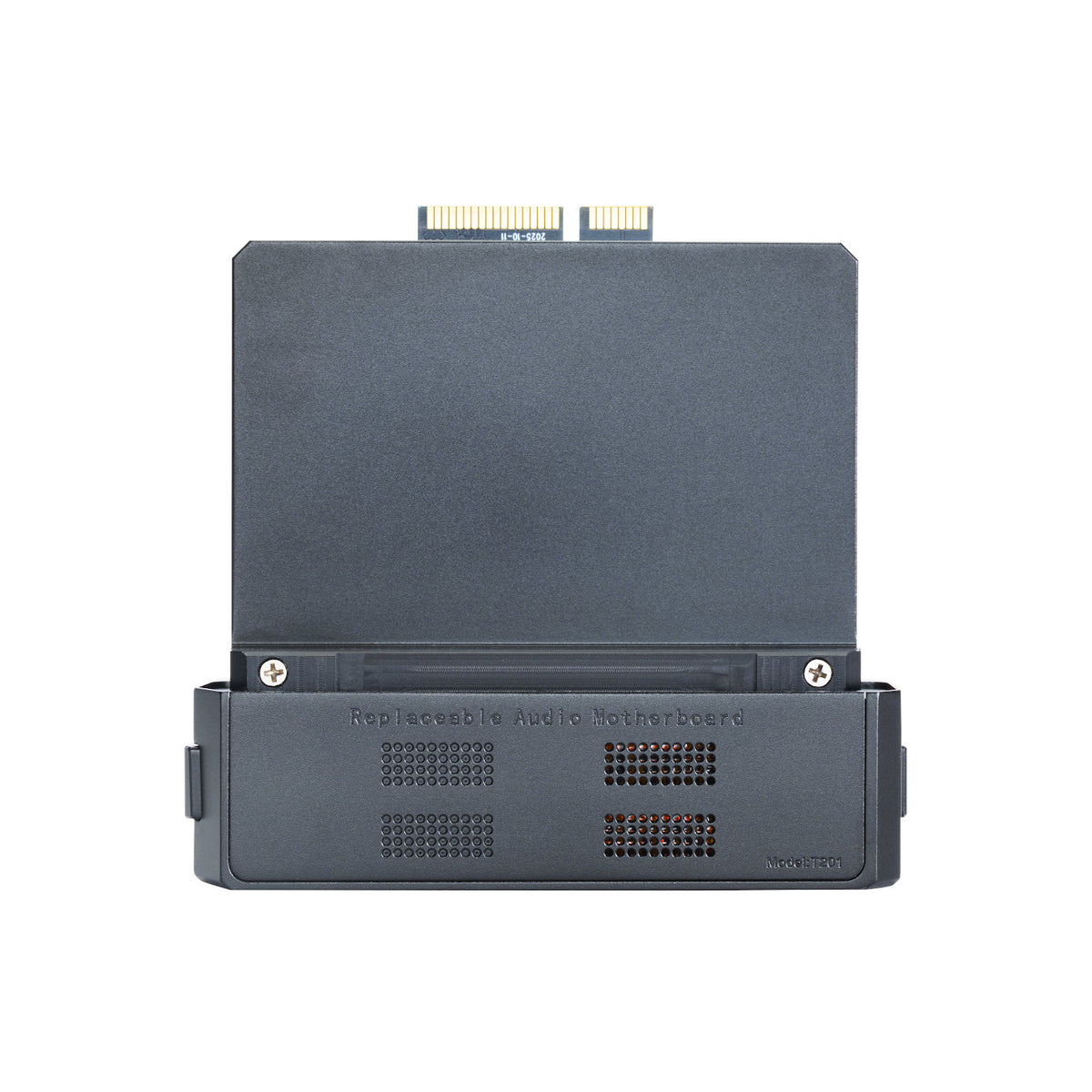 Cayin T201オーディオマザーボード for N6iii・JAN6418真空管 x 2