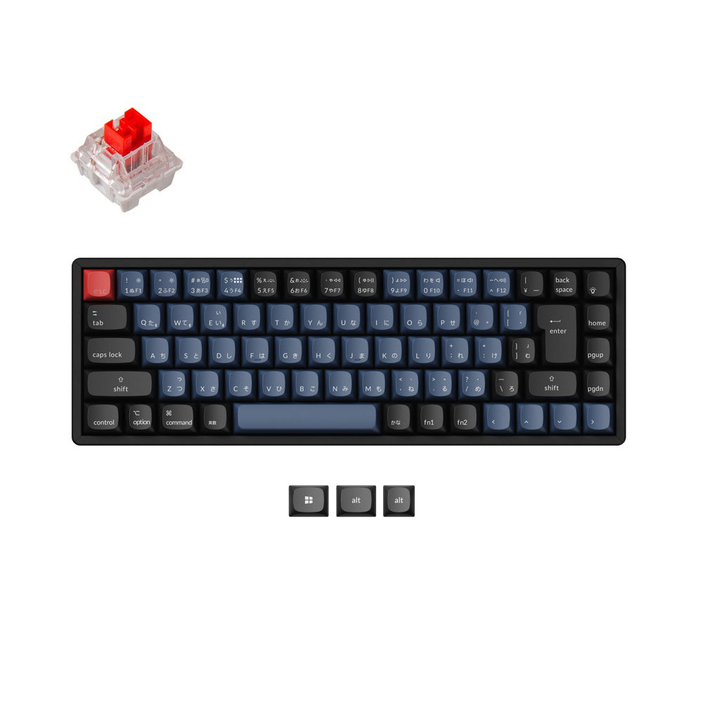 Keychron K6 バックライトなし 茶軸or赤軸 メカニカルキーボード Amazon | Keychron K6 Bluetooth 5.1 ワイヤレスメカニカル