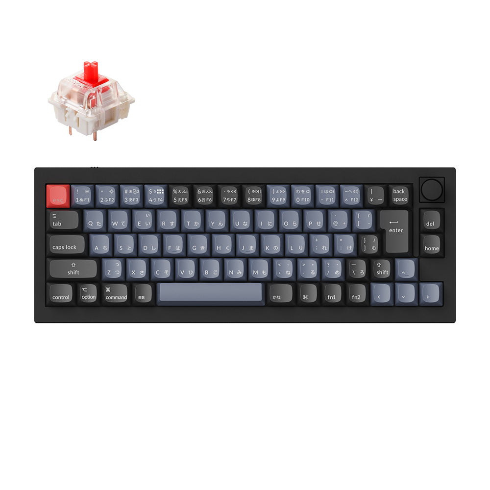 q2jis-blkred1.jpg?v=1665566833 q2jis-blkred1.jpg?v=1665566833